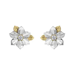 Shelly Purdy 14K White & Yellow Gold British Columbia Pacific Dogwood (0.12ct) Canadian Maple Leaf Diamond Stud Earrings